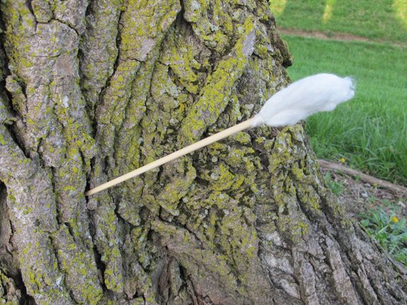 tampon_13 image tampon 13