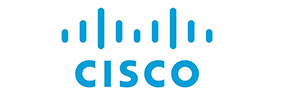 cisco Corporate Team Building & Bonding  | On Purpose Adventures