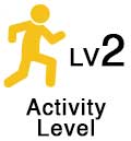 OPA_Icon_Activity-Level-2 image OPA_Icon_Activity-Level-2 Code Breakers | On Purpose Adventures